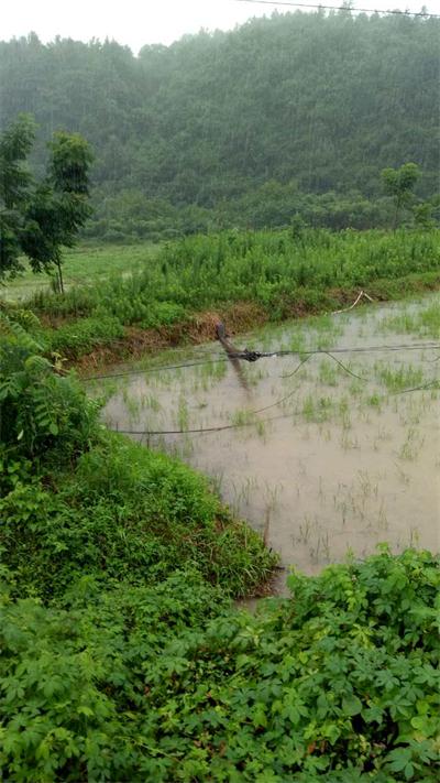 风雨中的守护:安徽长线建设集团公司抗洪救灾(图2) 风雨中的守护:安徽长线建设集团公司抗洪救灾(图2)